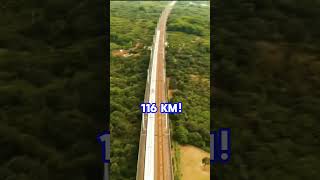 TOP 3 MAIORES PONTES DO MUNDO,😱