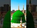   سرکار دو عالم کے دیکھو ہر سمت نظارے ہوتے ہیں