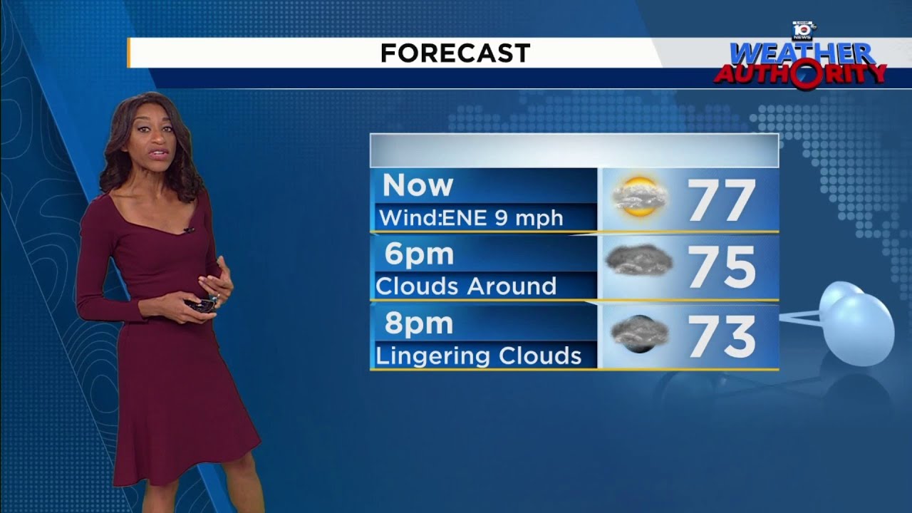 South Florida enjoys cooldown as cold front lingers - YouTube
