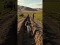 28 de julio    El viaje que unió a Gales y la Patagonia - Patagon Iart