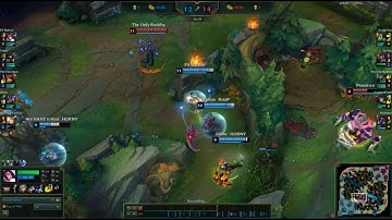 Fiora script no edit