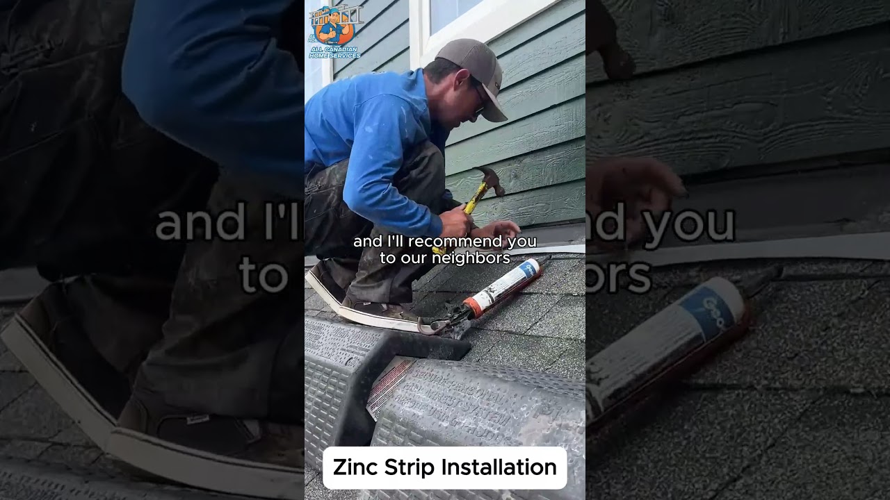 Port Coquitlam homeowner testimonial for soft wash roof cleaning by All Canadian Home Services
