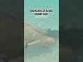 snorkeling Aruba #traveltok #travelcouple #traveling #travelvlog
