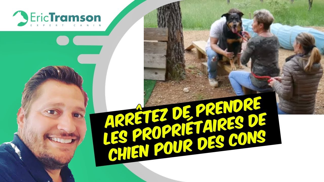 ARRÊTEZ DE PRENDRE LES PROPRIÉTAIRES DE CHIEN POUR DES CONS/ÉDUCATEUR CANIN /COMPORTEMENTALISTE - YouTube