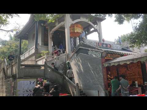 Five Taoist Gods of Wealth Temple Culture Tour in Guangzhou Taoist Temples and Buddhist Temples Tour