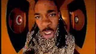Gimme some mo-busta rhymes