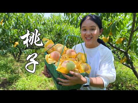 桃子还能这样吃？夏天这样整太爽了，冰凉酸甜吃嗨了