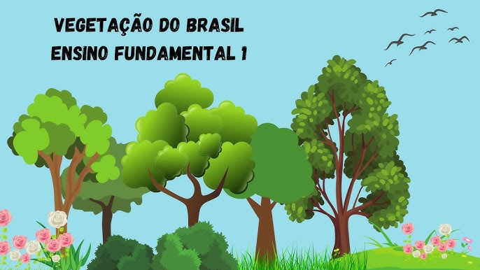 A VEGETAÇÃO DO BRASIL 