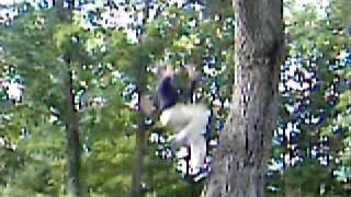 Celebrity parkour wall run tutorial Net Worth