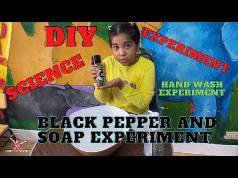 hand wash experiment
