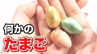 何か生まれる不思議なたまごを育ててみた