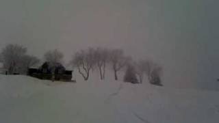 skokan jump2.mov