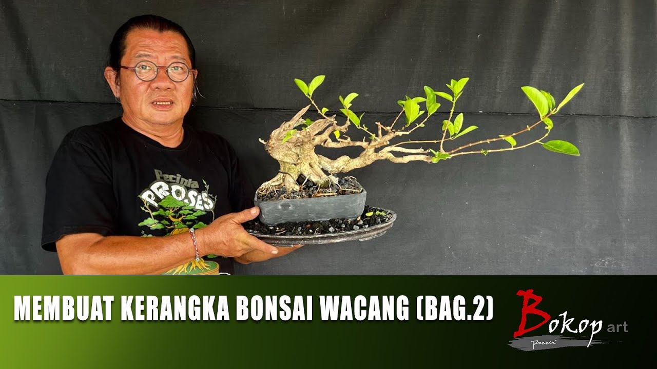 MEMBUAT KERANGKA BONSAI WACANG (bag.2)