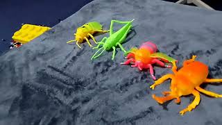 Insect's war red spider Vs insects gang by Kids Marvel Network  97 views 2 months ago 1 minute