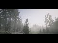 Red Dead Redemption 2 | Cinematic