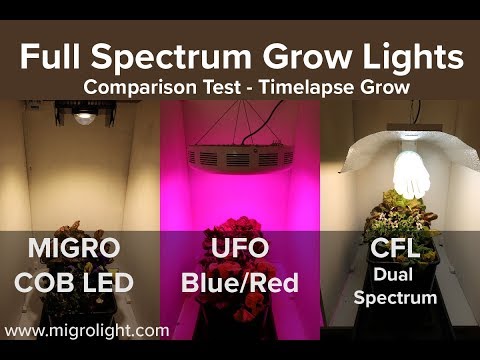 Video: LED Plantelys Uniel: Funksjoner I Phytolamp 9W E27 250 Lm Rødt Lys Og 10W, Lampeanmeldelser