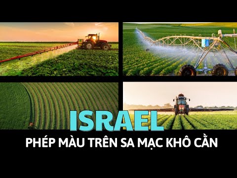 Video: Chợ ngoài trời tốt nhất của Israel