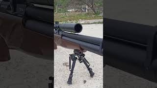 Huğlu Effecto Px4 22 Caliber