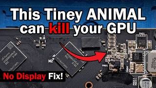 Lets Repair a GPU | Nvidia 1050TI No Display Fan Spinning Fix