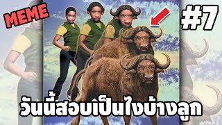 ภาพนี้ก็ฮาเหมือนกันนะเนี้ย #7 SS3 [ พากย์นรก MEME.EXE ] | easy boy