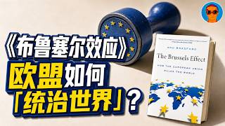 《布鲁塞尔效应》：我们其实都在被欧盟“统治” ｜但也许这是欧洲最后的自我麻醉