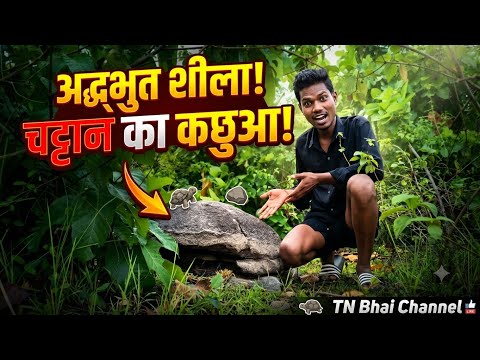  रहस्यमयी कछुआ चट्टान⛰️🐢 |The Mysterious Turtle Rock! What Is Secret Behind It? 🤔