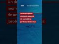 Un dron filma el momento especial de una ballena jorobada dando a luz