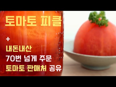 엄청 물어보신! 내돈내산 토마토 구입처 2곳 공개 + 일식집에 많이 나오는 토마토 피클 레시피 Pickled Tomatoes | 하다앳홈
