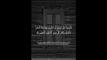 تلاوة خاشعة .#ريان_المحيسني #سورة_الشعراء #quran