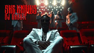 DJ RABBIT - SHE KNOWS (OFFICIAL VISUALIZER)