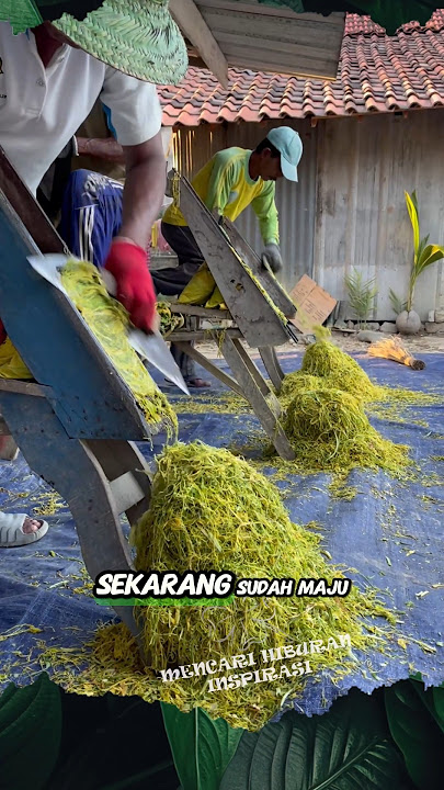 Manual Way to Shred Tobacco #shorts #farmers #tobacco