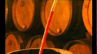 Trasiega artesanal de vino en nuestras bodegas