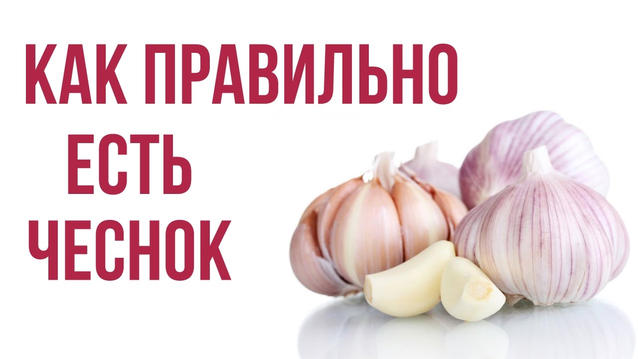 Есть чеснок на ночь. Чеснок. Чеснок на голодный желудок. Чеснок натощак. Кушать чеснок.