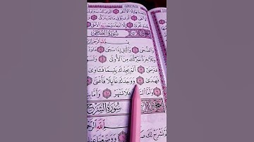 سورة الضحى _الشيخ محمد الفقيه ❤️🍃