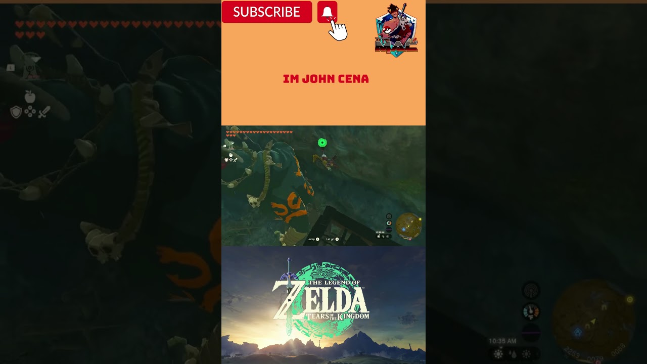 YOU CANT SEE ME LEGEND OF ZELDA TEARS OF THE KINGDOM 