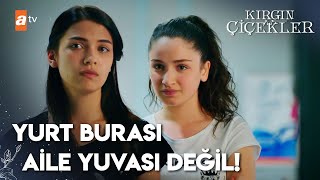 Yurtta Ilk Gece Kırgın Çiçekler