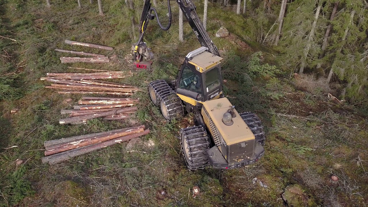 Ecolog 580D & Logmax 5000V slutavverkning i Sörmland 4K (Part 2)