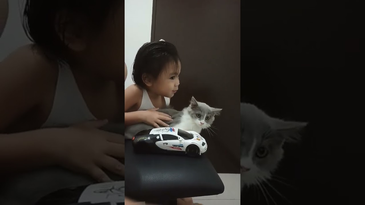 Cuddle Time 🤗 🥰 But Luna Refused 😅 