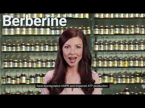 BERBERINE in LONGEVITY