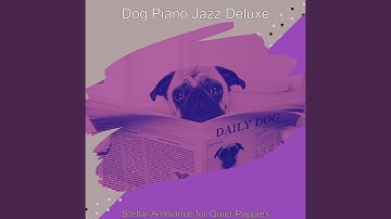 Modish Backdrops for Separation Anxiety