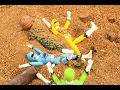 動物戦隊ジュウオウジャーキャラクターショー☆動画「危ない!!砂漠の中で・・!?」DoubutsuSentaiZyuohgerShow StopMotion☆