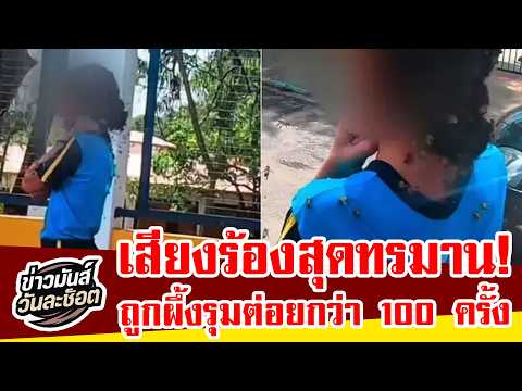 ช็อกทั้งโรงเรียน! ฝูงผึ้งรุมเด็กหญิงบราซิลวัย 12 ขวบ ก่อนหนุ่มไรเดอร์เสี่ยงชีวิตเข้าช่วย