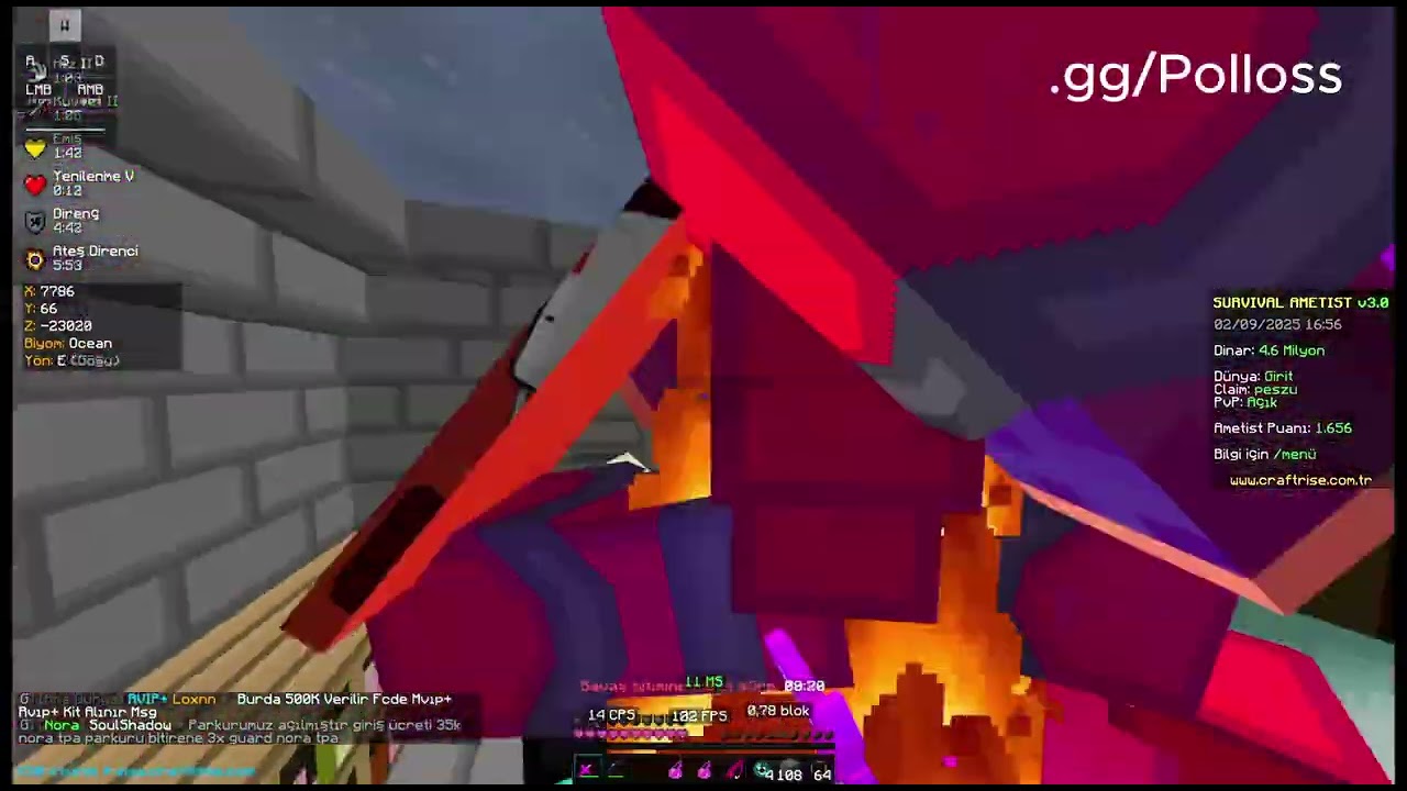 Survival Ametist LosPollos