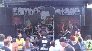 Tried To Reason Warped Tour