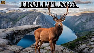 TROLLTUNGA, El Corazón Helado De Noruega: El Desafío De Sobrevivir En Las Alturas DOCUMENTAL 4K
