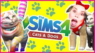 The Sims 4 Cats & Dogs New Expansion Trailer Reaction