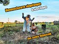Bienenschwarm einfangen &amp; einschlagen | Killerbienen? - das zweite Volk zieht ein Mp3 Song