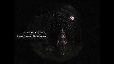 On Weary Wings Go By (Linnud läinud) by Anu-Laura Tuttelberg