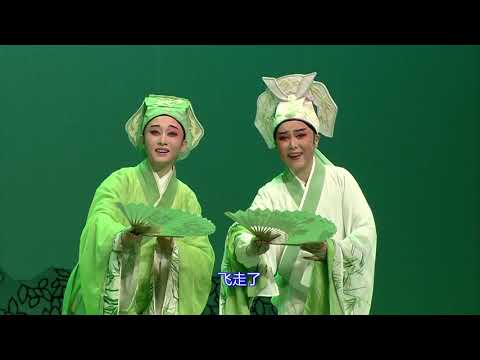 【1080P高清越剧】《何文秀》 全本【全字幕 soft subtitles】 陈丽君 徐叶娜 浙江小百花越剧团