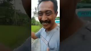 virall Preman Sok Jago Di Lumajang Di Hajar Supir